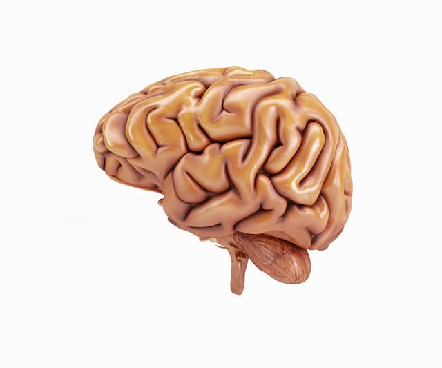 Unlock Your Brainpower